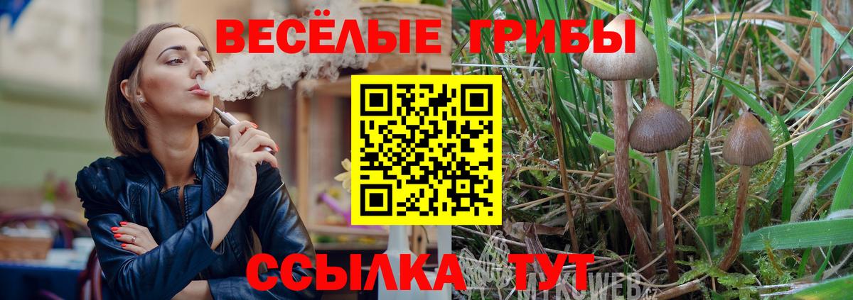 Галлюциногенные грибы Magic Shrooms Кириши
