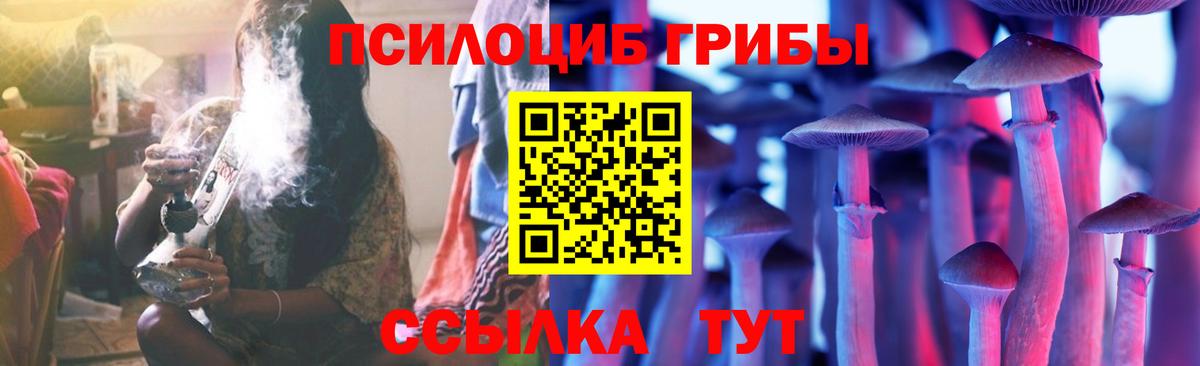 Кириши  Галлюциногенные грибы Cubensis  Вход с VPN 